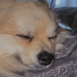 Meet your Posher, Bianka